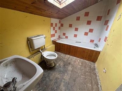 Picture 11